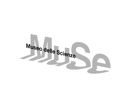 Muse