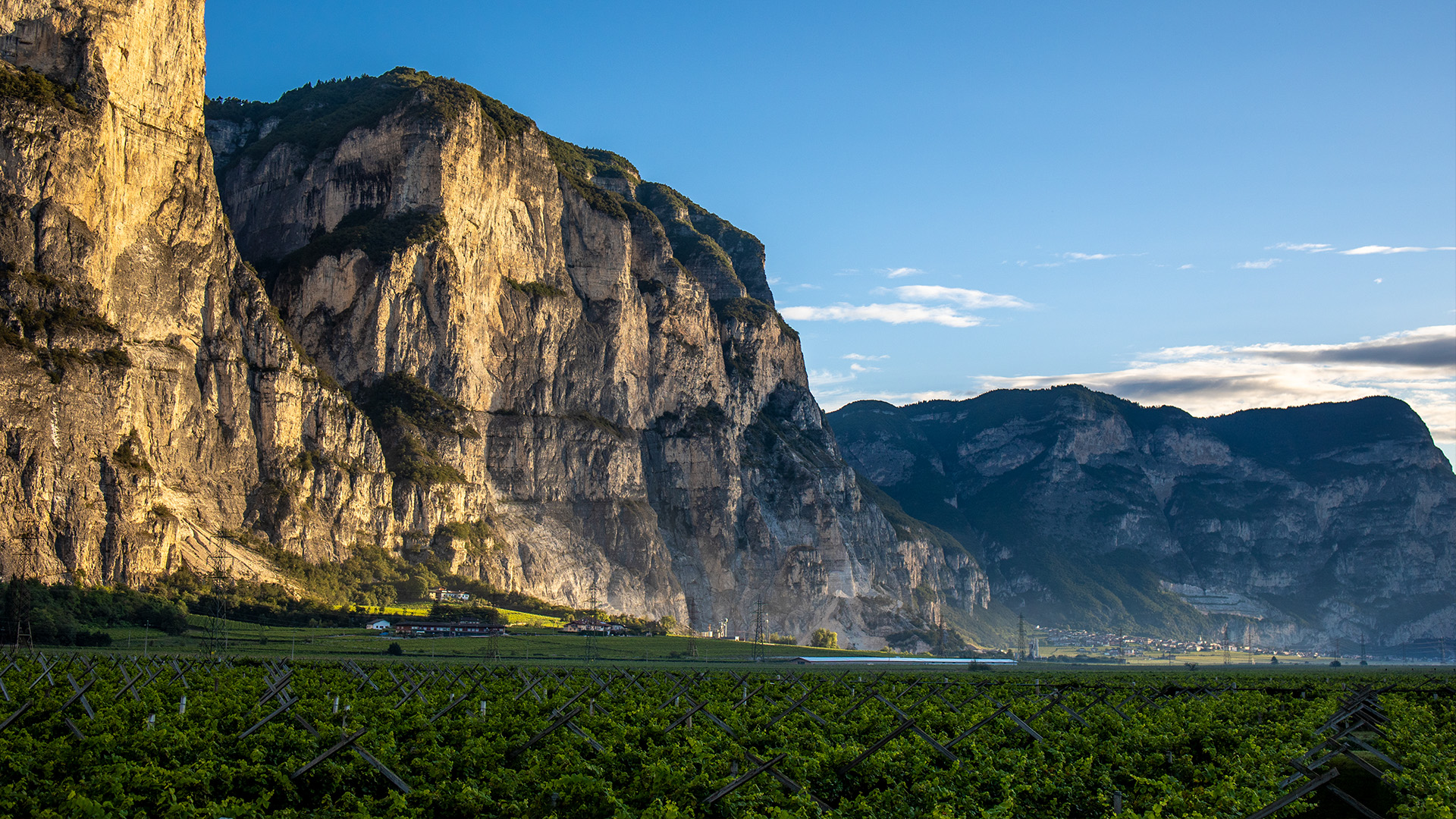 Cantina Roveré della Luna 