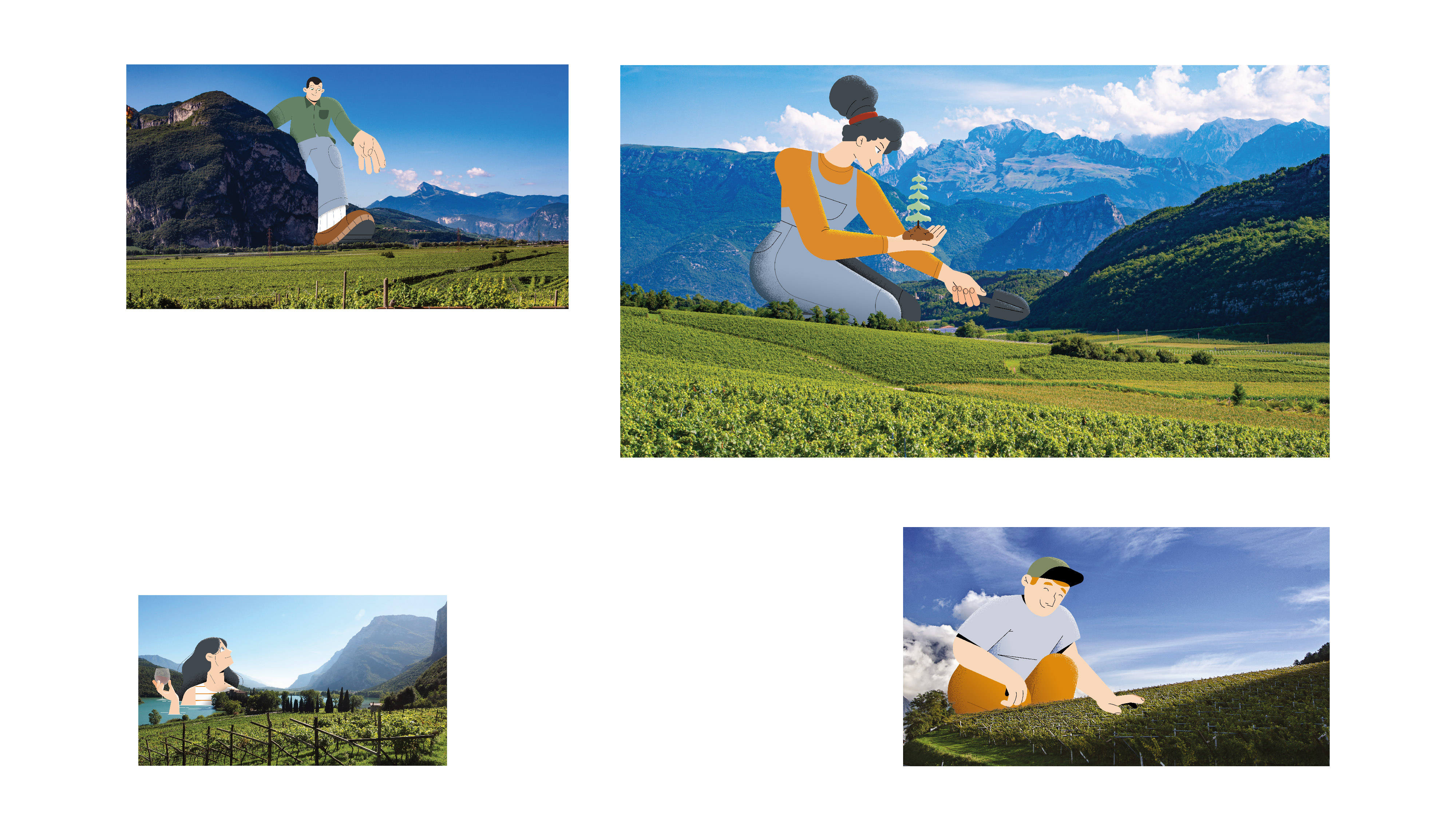 Consorzio di Tutela Vini del Trentino