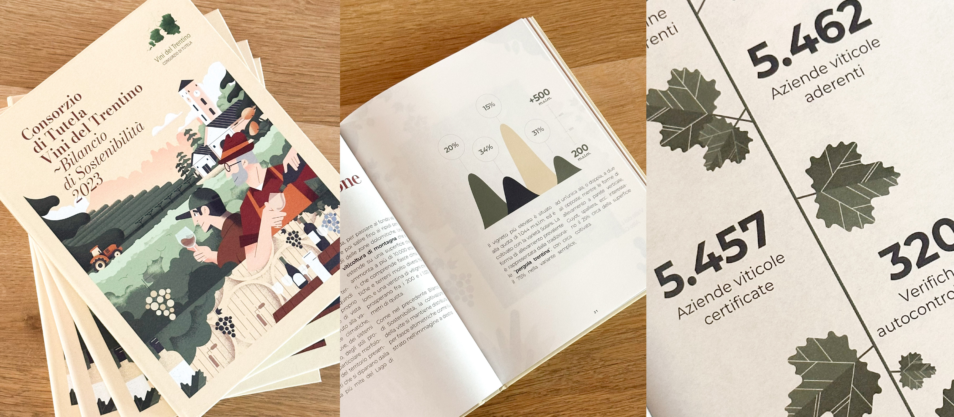 Consorzio di Tutela Vini del Trentino