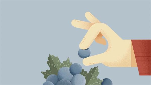 Consorzio di Tutela Vini del Trentino